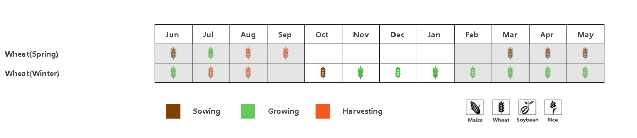 Phenology of major crops.png