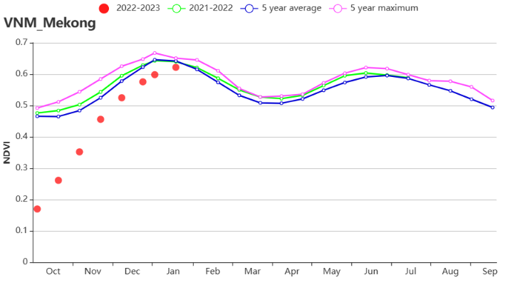 VNM NDVI profile Mekong River Delta.png